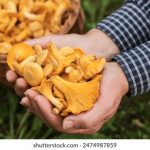 探索万能在线播放器:一站式视频音频播放解决方案 2f8m8cvka