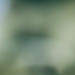 83gnxwwz4